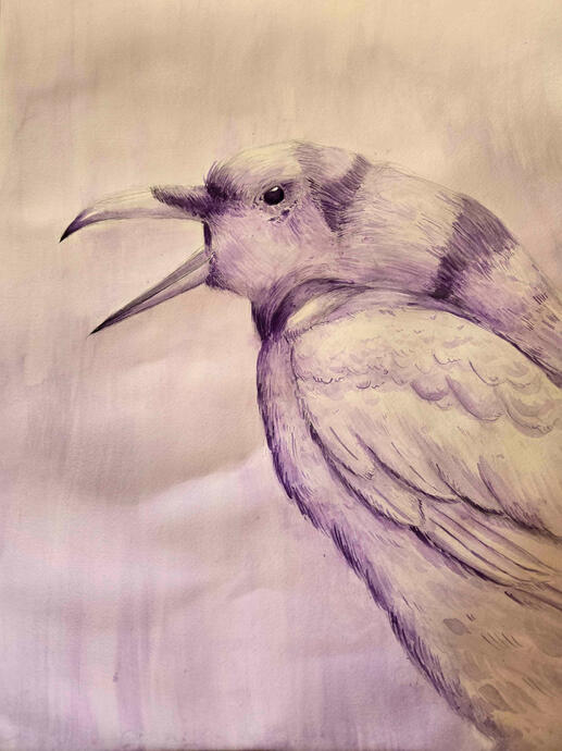 [Ink Painting] Crow Still Life