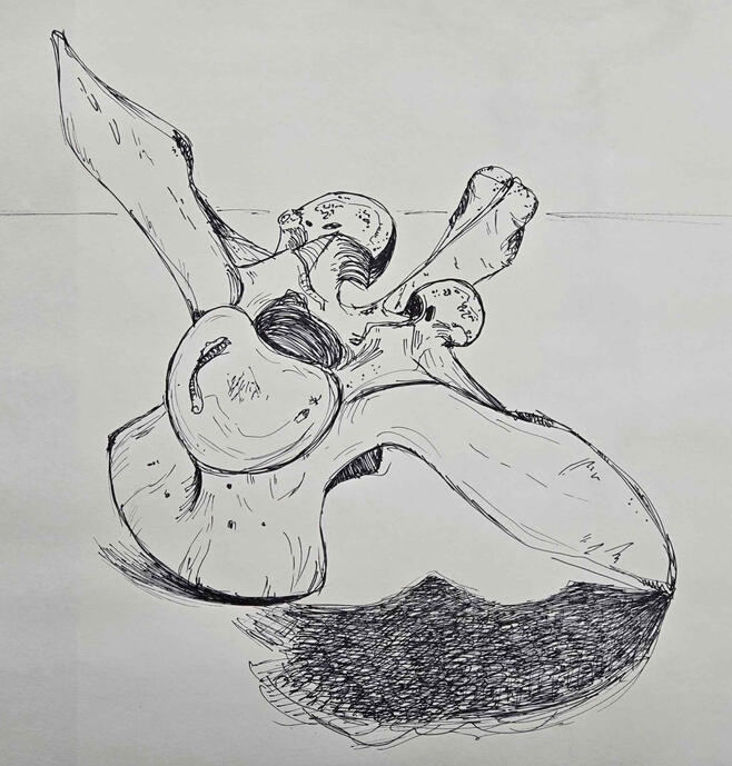 [Pen] Bone Still life