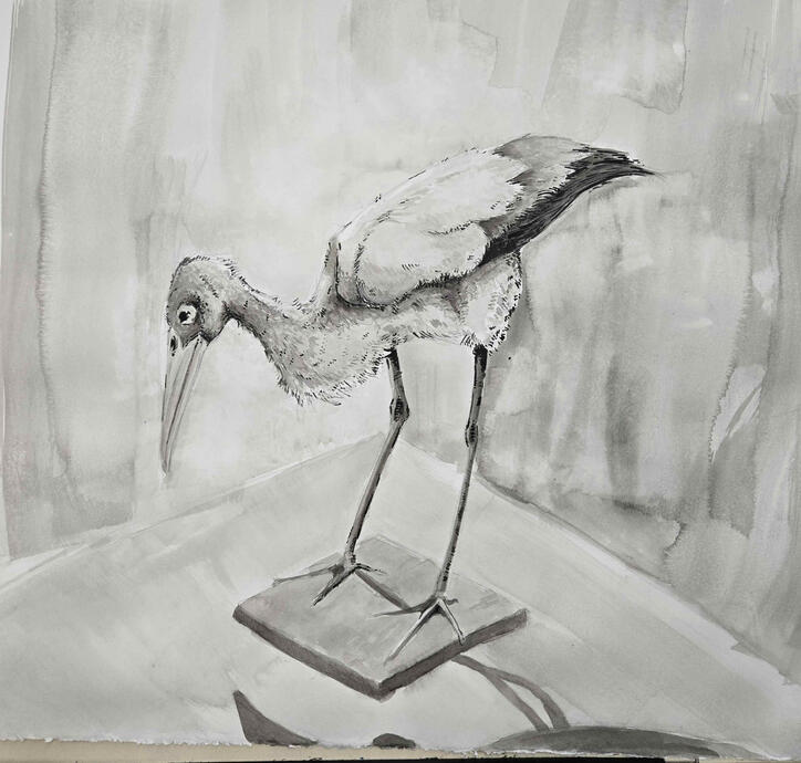 [Ink Painting] Crane Still-life